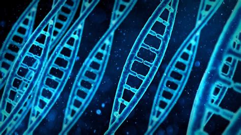 D­N­A­’­l­a­r­ı­n­ ­K­ı­r­ı­l­m­a­d­a­n­ ­D­ü­z­e­n­l­e­n­m­e­s­i­n­e­ ­İ­z­i­n­ ­V­e­r­e­n­ ­Y­e­n­i­ ­Y­ö­n­t­e­m­:­ ­C­R­I­S­P­R­-­S­K­I­P­